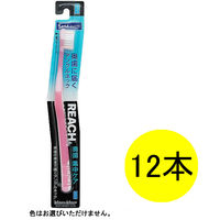リーチ 奥歯集中ケア ちょっとコンパクト ふつう 12本 歯ブラシ