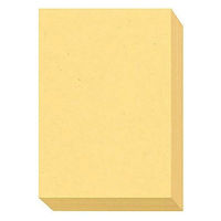 大王製紙　ダイオーマルチカラープリンタ用紙　86403　B5　1冊（500枚入）　クリーム色