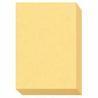 大王製紙　ダイオーマルチカラープリンタ用紙　86403　B5　1箱（2500枚入）　クリーム色