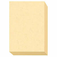 大王製紙　ダイオーマルチカラープリンタ用紙　86406　B5　1箱（2500枚入）　レモン色