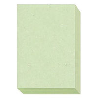 大王製紙　ダイオーマルチカラープリンタ用紙　86408　B5　1箱（2500枚入）　若草色