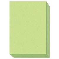 大王製紙　ダイオーマルチカラープリンタ用紙　86426　A3　1箱（1500枚入）　うぐいす色