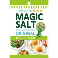 エスビー食品 S&B 袋入りマジックソルト オリジナル 20g 1個