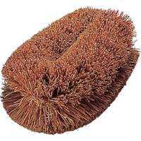 トラスコ中山 TRUSCO ナチュラルブラシ「いがぐり君」 140mm 952-1626　1個