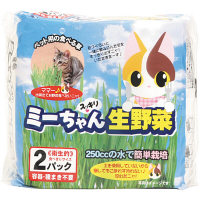 猫草 ミーちゃんのすっきり生野菜 2個入 イデシギョー