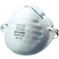 スリーエム　ジャパン　3M　使い捨て防塵マスク　DS1　8000J　1セット（200枚：50枚入×4箱）