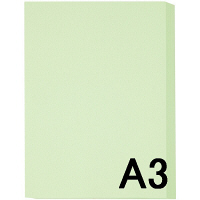アスクル　カラーペーパー　A3　ライトグリーン　1冊（500枚入）  オリジナル