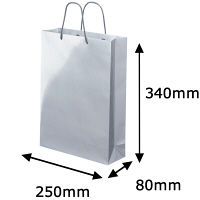 【紙袋】ミラータイプ紙袋／アスクルオリジナル