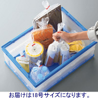 「現場のチカラ」ポリ規格袋（LDPE・透明）　0.018mm厚　18号　380mm×530mm　食品対応　1袋（200枚入）　アスクル