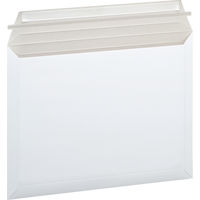 アスクル 「現場のチカラ」 ビジネスレターケース 開封テープあり A4 1セット（300枚：25枚入×12パック）  オリジナル