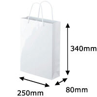手提げ紙袋　ミラーフィルムタイプ　丸紐　ホワイト　M　1セット（30枚：5枚入×6袋）　アスクル  オリジナル