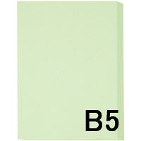 アスクル　カラーペーパー　B5　ライトグリーン　1セット（500枚×3冊入）  オリジナル