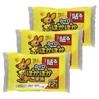 アイリスオーヤマ ぽかぽか家族 貼るレギュラー 1セット（30個：10個入×3パック）（取寄品）
