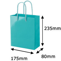 手提げ紙袋小物用　丸紐　アクアブルー　L　1セット（50枚：5枚入×10袋）　ハピラ