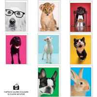 【アウトレット】エトランジェ・ディ・コスタリカ　グリーティングカード　どうぶつさん　16枚セット