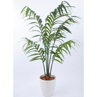 アイコム　人工樹木　ケンチャヤシ　1.8m　1鉢　（取寄品）