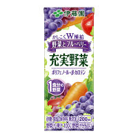 【野菜ジュース】伊藤園　充実野菜　ブルーベリーミックス（野菜とブルーベリー）200ml　1箱（24本入）