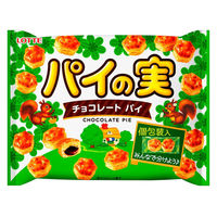 パイの実 シェアパック 1個 ロッテ チョコレート