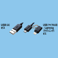 【アウトレット】カシムラ　USB充電＆同期ケーブル　70cm　2.4A　KL-19