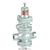 ヨシタケ 蒸気用減圧弁 GPー1010 25A GP-1010 1個（直送品）