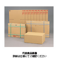 アイリスオーヤマ（IRIS OHYAMA） ダンボールボックス DB-M1×10 DB-M1X10 1セット（10枚）（直送品）