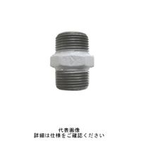 吉年 コート 六角ニップル N-HXNI-100A 1セット（5個）（直送品）