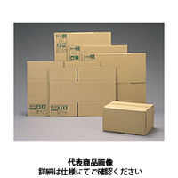 アイリスオーヤマ ダンボールボックス DBーM1 DB-M1 1セット(10個:1個×10枚)（直送品）