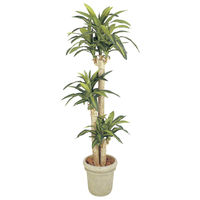 タカショー 人工観葉植物 ドラセナ 幸福の木1.7m GD-149 1個（直送品）
