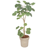 タカショー 人工観葉植物 ウンベラータ1.8m GD-154 1個（直送品）