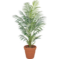 タカショー 人工観葉植物 アレカヤシ1.8m GD-194 1個（直送品）