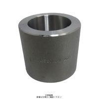 イシグロ ねじ込み高圧キャップ（PT370） BOW-PT370PT-CA-10A（直送品）