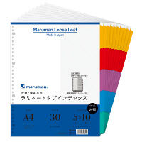 マルマン ラミネートタブクリアポケット専用 A4ワイド 5山 10組/50枚 LT3005F（直送品）
