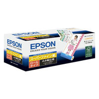 エプソン スーパーファイン紙 A4 KA4100SFR 1袋（100枚入） - アスクル