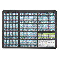 サンワサプライ ローマ字変換マウスパッド A4サイズ MPD-OP17RA4