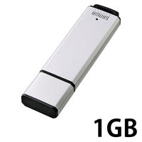 サンワサプライ USBメモリー USB2.0 キャップ式 UFD-A1G2シリーズ 1GB