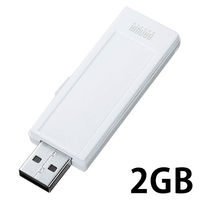 サンワサプライ USB2.0　メモリ UFD-RNS2GW 1個