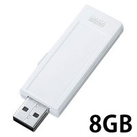 サンワサプライ USBメモリー USB2.0 スライド式 UFD-RNSシリーズ 2GB/4GB/8GB/16GB