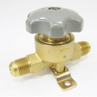 BBKテクノロジーズ パックレスバルブ1/2