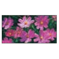 安全興業 デザイン表示板用イラストシール BBI-23 1個（直送品）