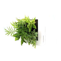 トヨタサントリーミドリエ MIDORIE DESIGN（ミドリエデザイン） 観葉植物 FRAME ホワイト17Y4 3個セット（直送品）