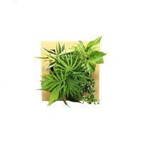トヨタサントリーミドリエ MIDORIE DESIGN（ミドリエデザイン） 観葉植物 FRAME