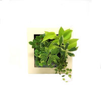 トヨタサントリーミドリエ MIDORIE DESIGN（ミドリエデザイン） 観葉植物 FRAME アイボリー17X4 3個セット（直送品）
