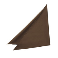 三角巾 フリー ブラウン EA6743 1枚 サーヴォ（旧サンペックスイスト）（直送品）