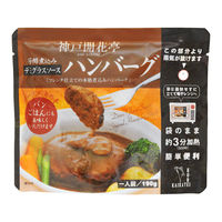 開花亭 煮込みハンバーグ デミグラスソース 190g 1個 レンジ対応