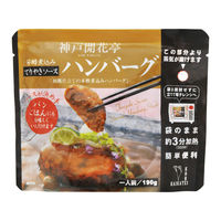 開花亭 煮込みハンバーグ テリヤキソース 190g 1個 レンジ対応