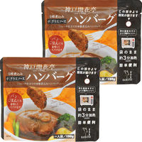 開花亭 煮込みハンバーグ デミグラスソース 190g 1セット（2個） レンジ対応