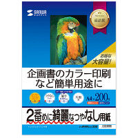 サンワサプライ インクジェットスーパーファイン用紙 A4 200枚 JP-EM4NA4N-200 1個（直送品）