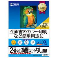 サンワサプライ インクジェットスーパーファイン用紙 A4 100枚 JP-EM4NA4N-100 1個（直送品）