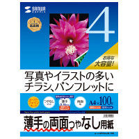 サンワサプライ インクジェット用両面印刷紙 薄手 大容量タイプ A4 100枚 JP-ERV4NA4N-100 1個（直送品）