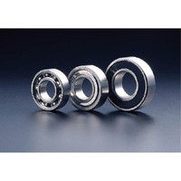 南海精工所 6Sシリーズ SUS304ステンレスベアリング 6S6001Bー2RS 1セット(2個)（直送品）